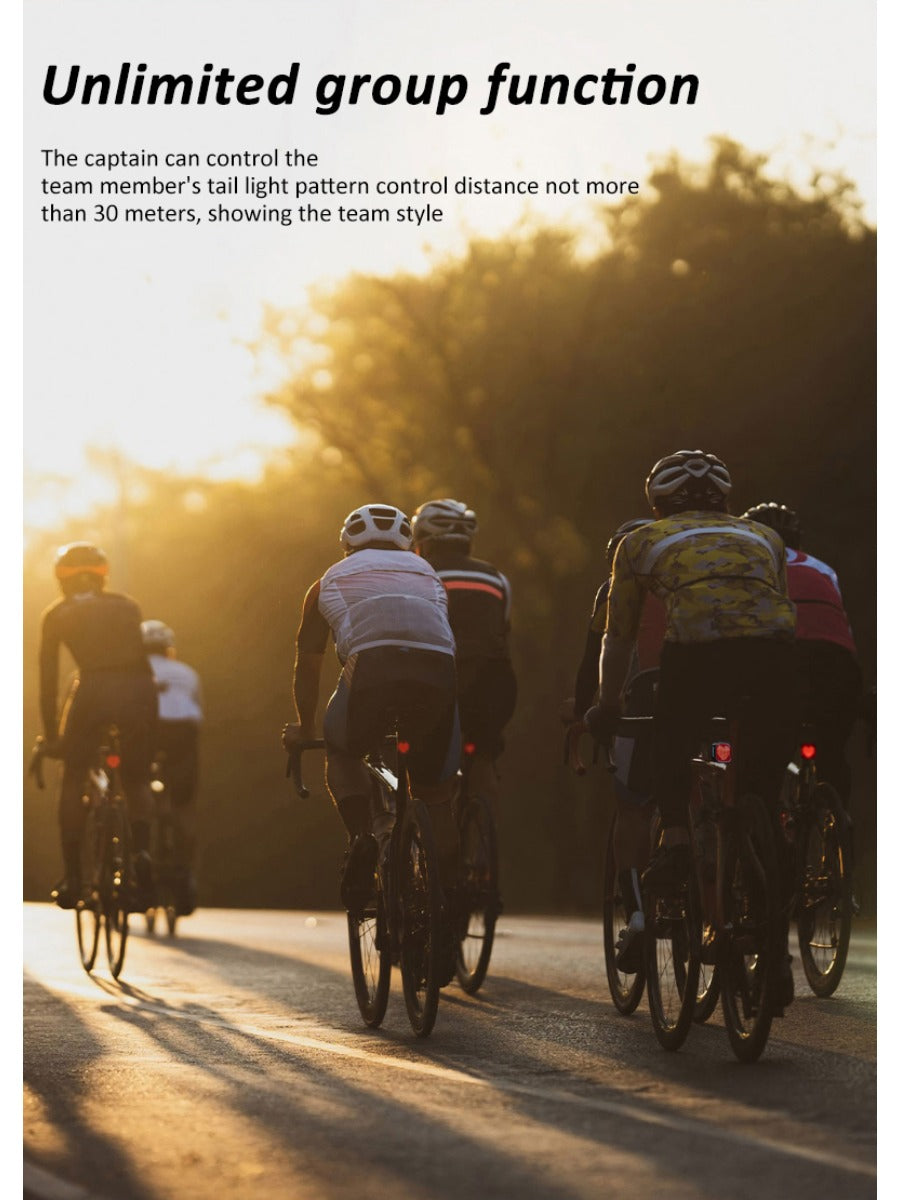 X-TIGER Cycling Tail Light IP66 Waterproof MTB Road Bicycle Light Smart Brake Sensor APP Build Mode Smart Expression Taillight