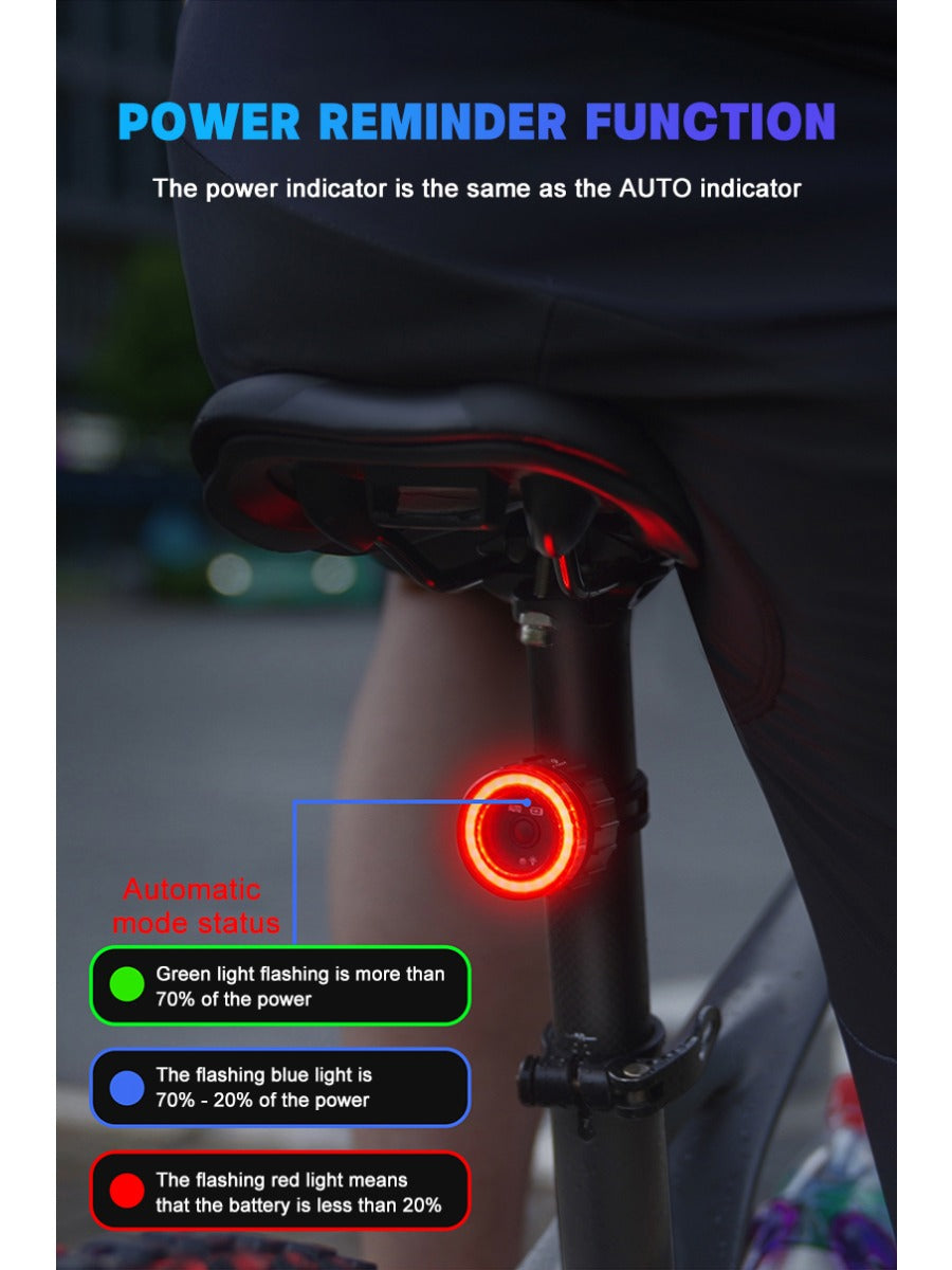 X-TIGER Bike Rear Light Smart Brake Sensing Light Bicycle Tail Light IPX6 Waterproof LED Charging Taillight