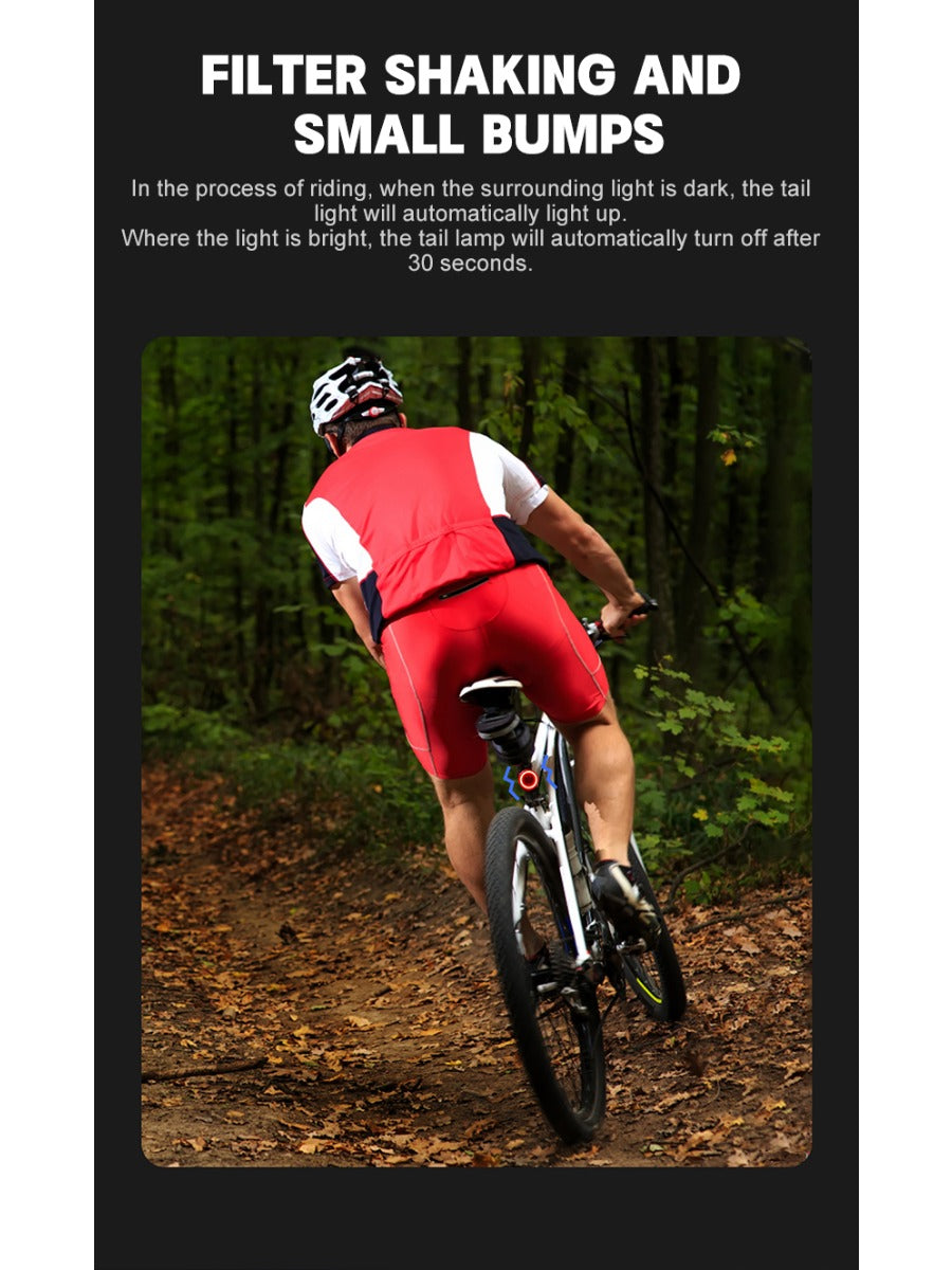 X-TIGER Bike Rear Light Smart Brake Sensing Light Bicycle Tail Light IPX6 Waterproof LED Charging Taillight