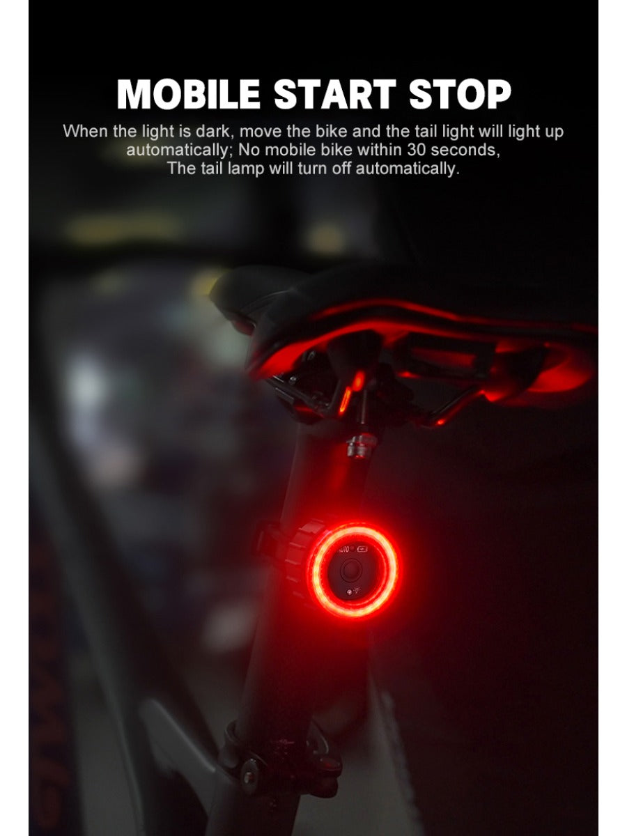 X-TIGER Bike Rear Light Smart Brake Sensing Light Bicycle Tail Light IPX6 Waterproof LED Charging Taillight