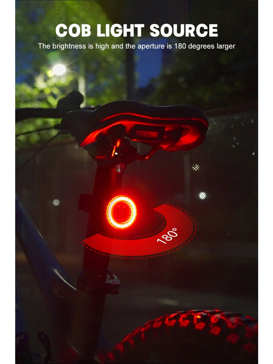 X-TIGER Bike Rear Light Smart Brake Sensing Light Bicycle Tail Light IPX6 Waterproof LED Charging Taillight