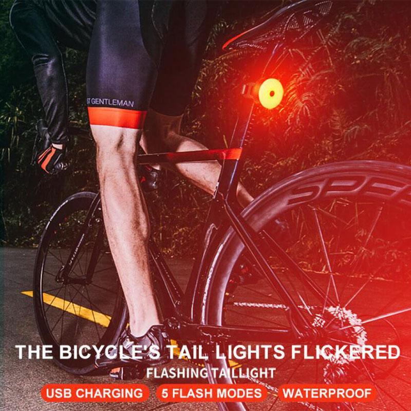 Colorful waterproof LED Bicycle Tail Light - X-Tiger